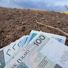 Pieniądze leżą na ziemi, symbolizując arimr kredyt na zakup ziemi.