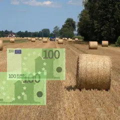 Pole z belami słomy i rachunki 100 euro. Zastanawiasz się, ile wynosi dopłata do 1 ha zboża?
