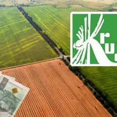 Pola uprawne i pieniądze. Ile trzeba mieć ziemi, żeby płacić KRUS?