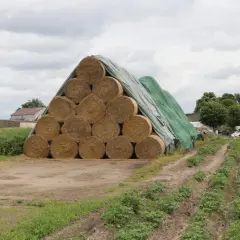 Ogromne baloty siana ułożone w piramidę, przykryte zieloną plandeką, czekają na dalsze wykorzystanie na farmie.