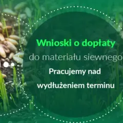 Wnioski o dopłaty do materiału siewnego. Pracujemy nad wydłużeniem terminu. Wschodzące ziarna symbolizują przyszłe plony.