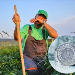 Zmęczony rolnik ociera łzy na polu. Obok stos monet, symbolizujący trudną rekompensatę za ciężką pracę.