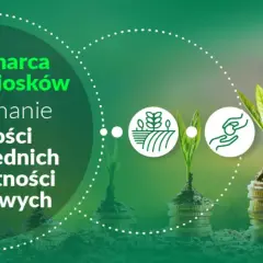 Od 15 marca nabór wniosków o przyznanie płatności bezpośrednich i obszarowych. Zadbaj o swój rozwój rolniczy!