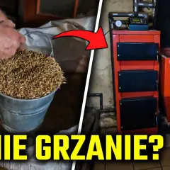Jakie zboże do palenia? Odkryj najlepsze opcje i ich właściwości