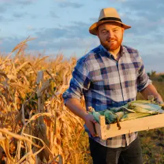 Uśmiechnięty rolnik w kapeluszu niesie skrzynkę świeżej kukurydzy. To inspiracja, jak zostać rolnikiem i cieszyć się plonami.