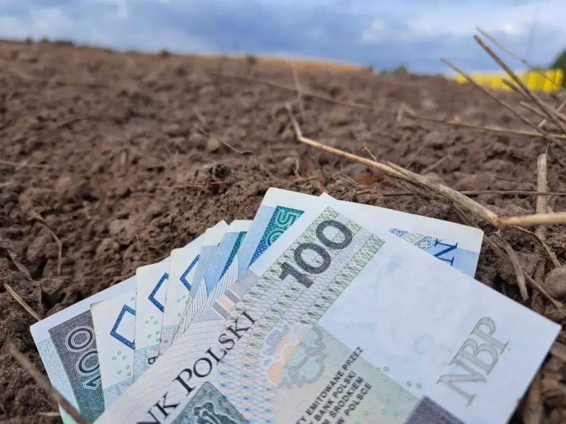 Pieniądze leżą na ziemi, symbolizując arimr kredyt na zakup ziemi.