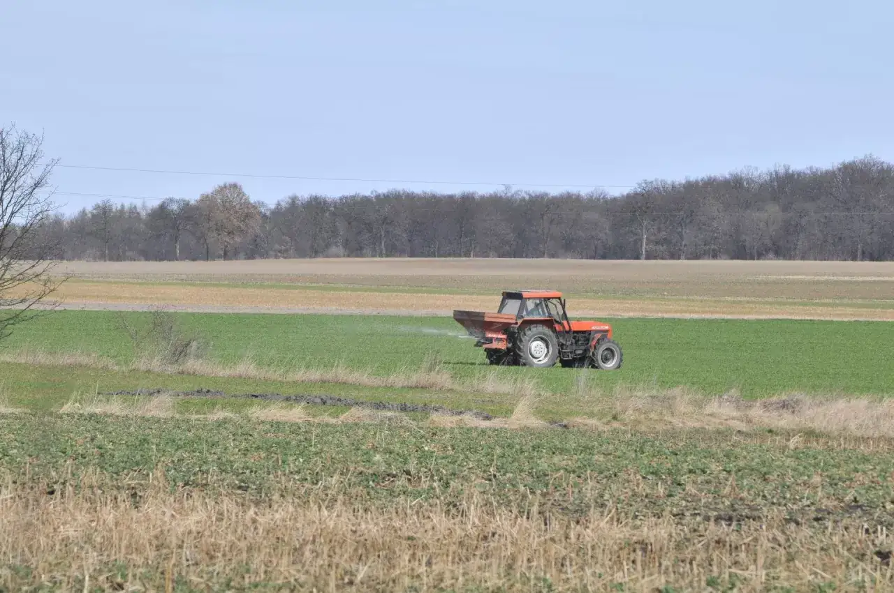 Czerwony traktor rozsiewa nawóz na zielonym polu. Dofinansowanie do nawozów pomaga rolnikom w pielęgnacji upraw.