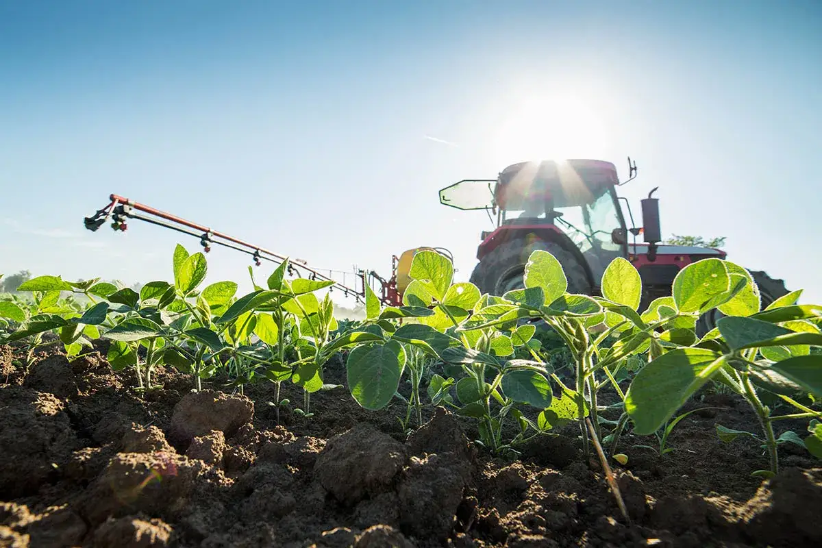 Młode rośliny soi rosną na polu, a w tle widać traktor i opryskiwacz. To idealny moment na zastosowanie nawozów dolistnych, np. Basfoliar, by zapewnić im zdrowy wzrost.