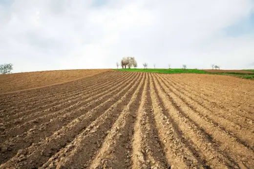 Orka ugoru - Jak przywrócić pole do uprawy bez błędów?