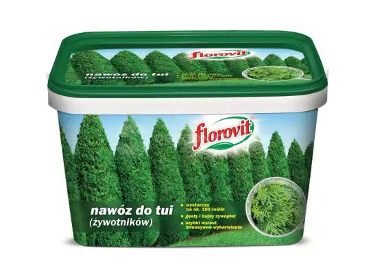 Jaki nawóz do tui na szybki wzrost? Terminy i dawkowanie