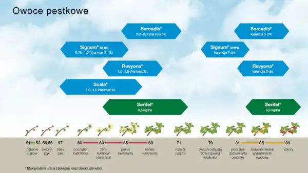 Schemat ochrony owoców pestkowych, uwzględniający m.in. fungicyd **difenokonazol** (w produktach Revyona, Signum), pokazuje fazy rozwojowe roślin i zalecane zabiegi.