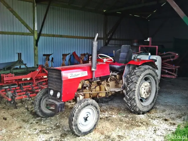 Zetor 3011 - dane, ceny i sprawdzenie przed zakupem
